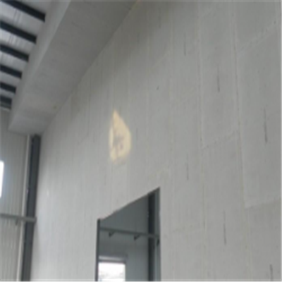 三穗宁波ALC板|EPS加气板隔墙与混凝土整浇联接的实验研讨